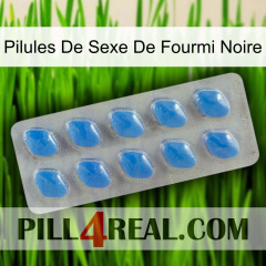 Black Ant Sex Pills 22